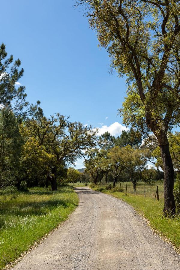 Monte Dos Passarinhos Βίλα Grândola Εξωτερικό φωτογραφία